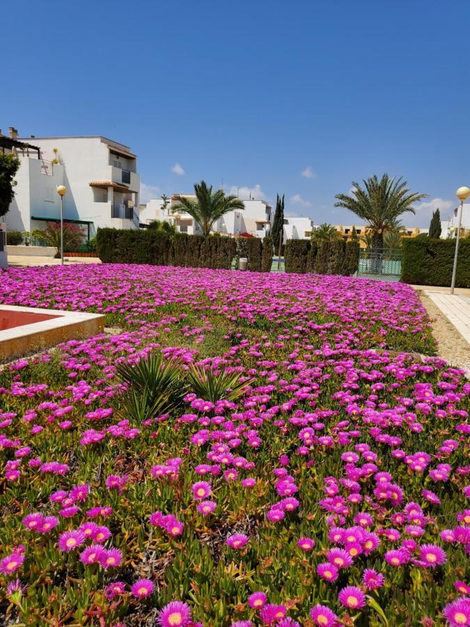 Casa Baja Naturista Con Patio En Primera Linea De Playa Con Piscina Comunitaria! Vera Exterior foto